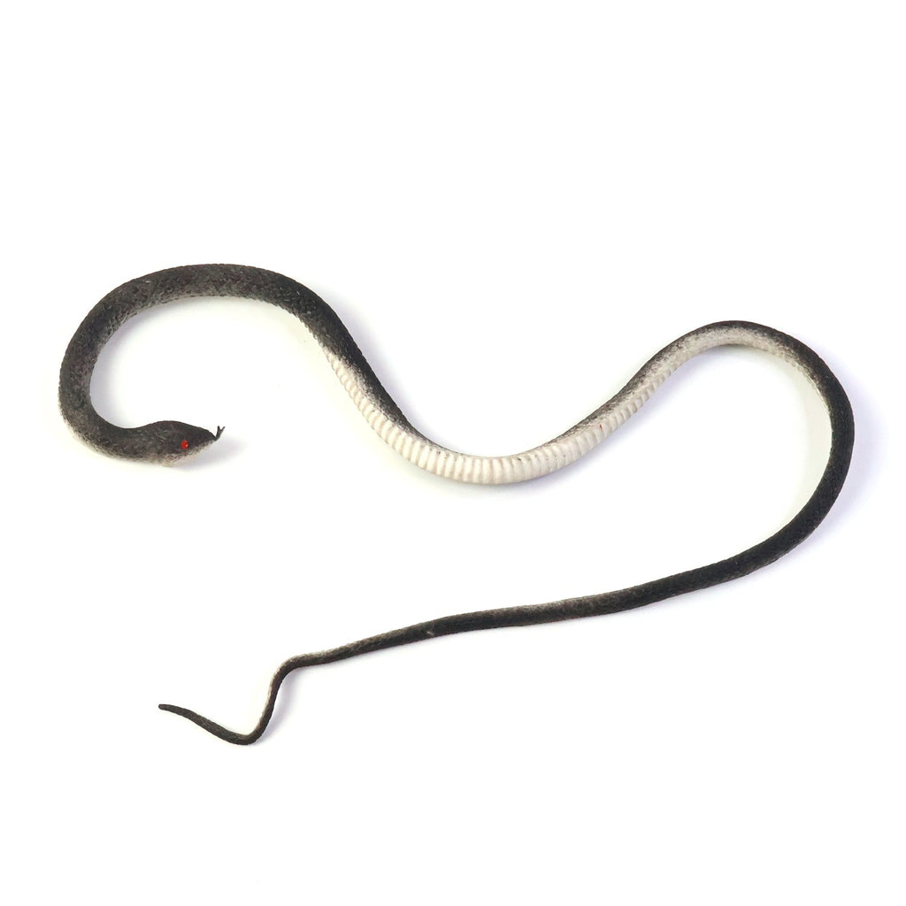 Rubber Snake