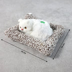 Adorable car toy cat        

