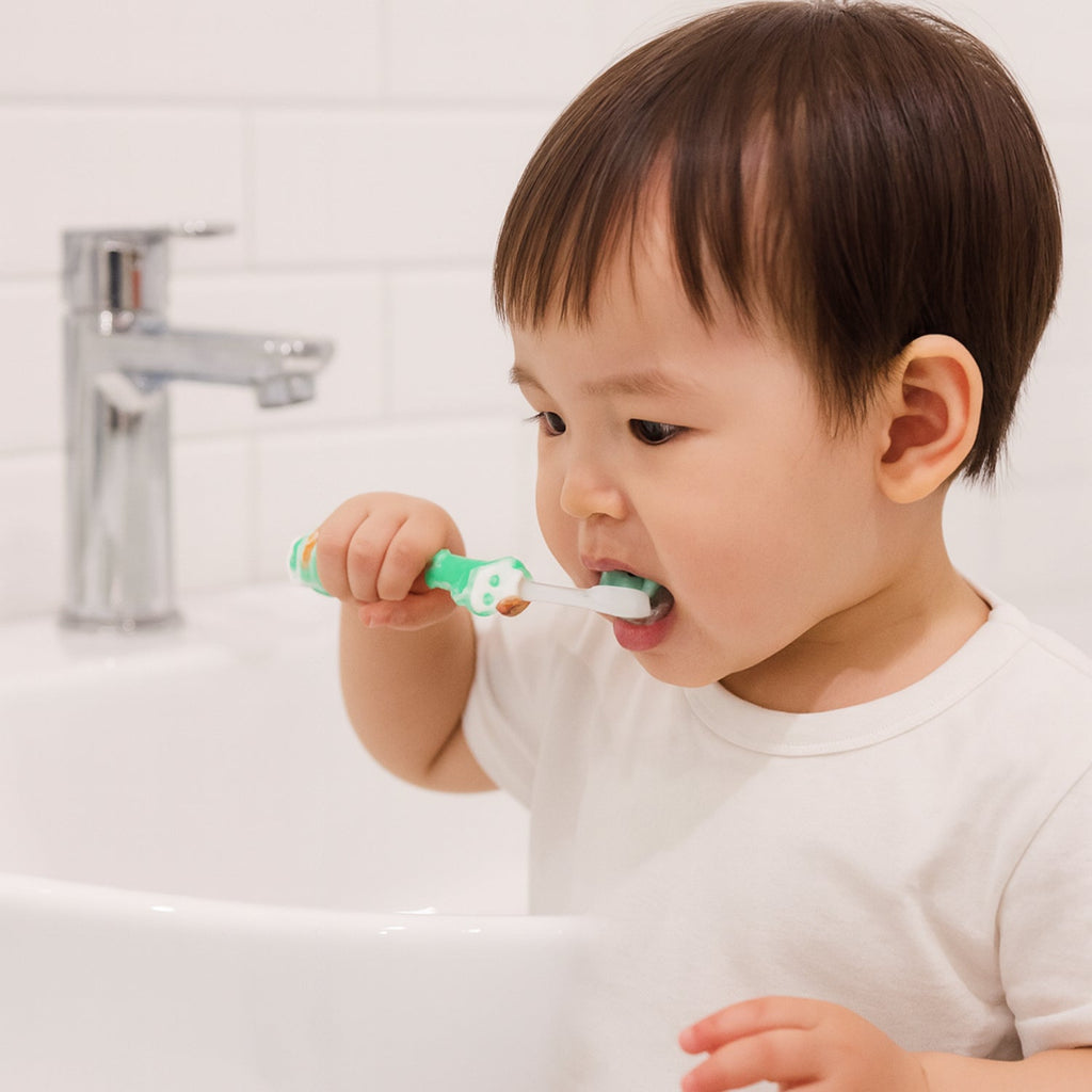Toothbrush Gift Set