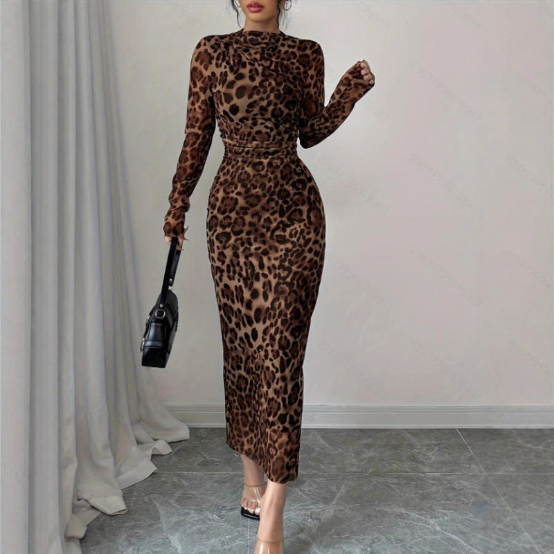 European And American Leopard-Print Fashion Long-Sleeve Dress