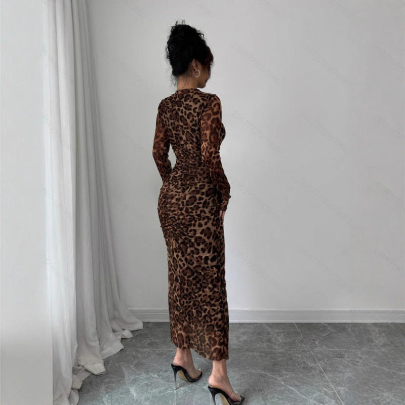 European And American Leopard-Print Fashion Long-Sleeve Dress