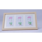 Generic Acrylic Cactus Image Frame (Multicolor)