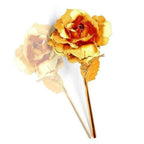B Golden Rose is perfect for decorating homes, offices, cafes (3 Pc Set)