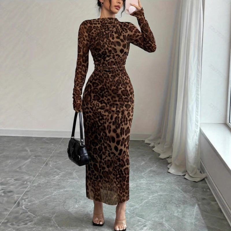 European And American Leopard-Print Fashion Long-Sleeve Dress