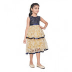 Generic Girl's Fancy Net Net Sleeve Less Round Neck Dress (Blue)